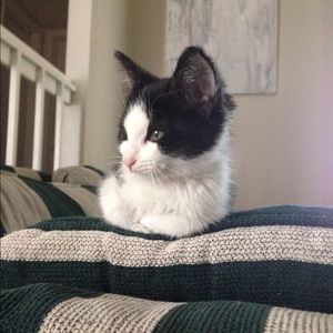 Meet your Posher, Laura